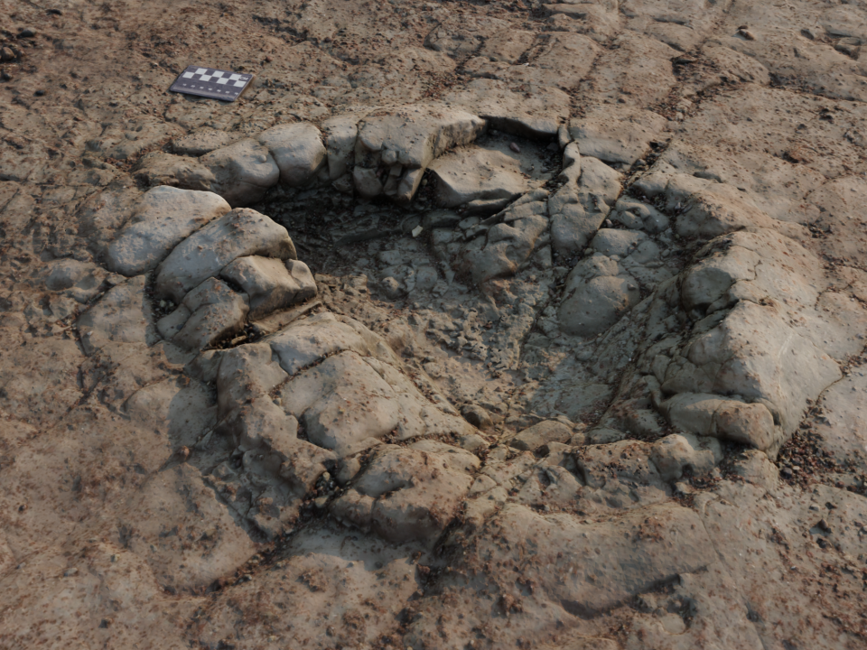 One of the prints discovered on a beach in Wales.