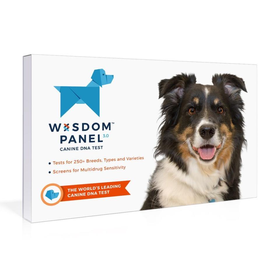 Wisdom Panel 3.0 Dog Breed Identification DNA Test