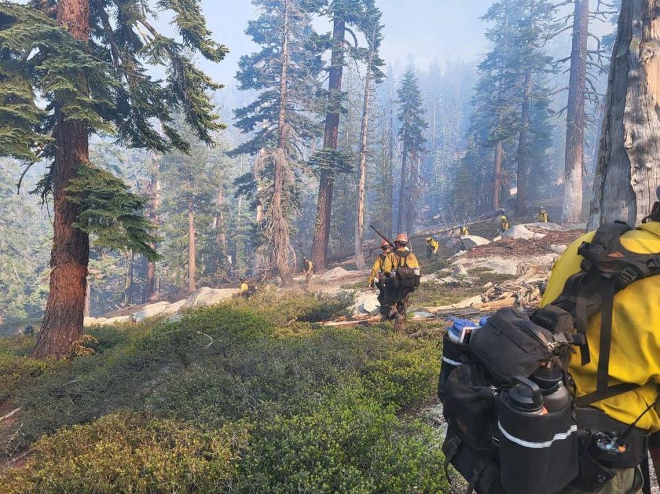 Crews work near the Pika Fire in Yosemite National Park near North Dome in the northeastern part of Yosemite Valley. YOSEMITE FIRE AND AVIATION