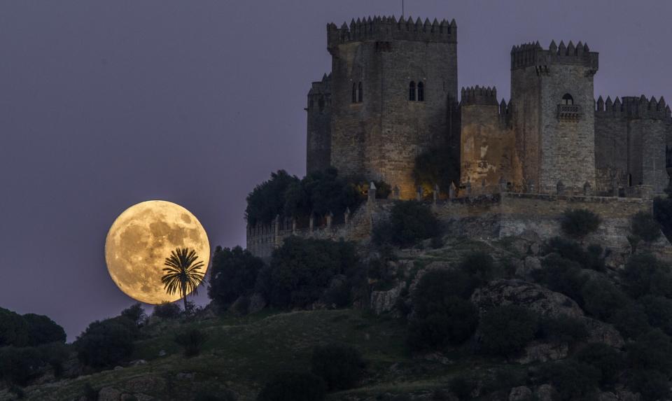 Brightest supermoon in almost 69 years