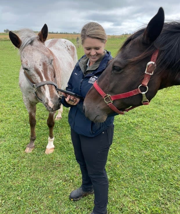 Molly Mills, a veterinarian with the AVC, says the study will include recommendations for horse owners. (Atlantic Veterinary College - image credit)