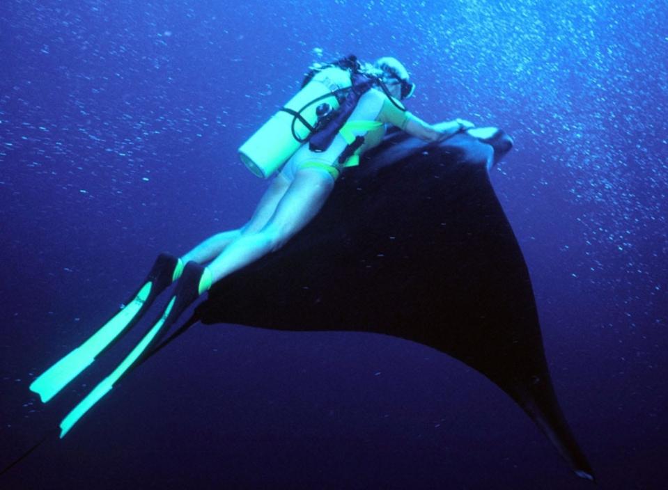 Norine Rouse with a giant manta ray.