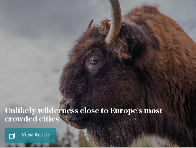 Escaping overtourism: Unlikely wilderness close to Europe's most crowded cities