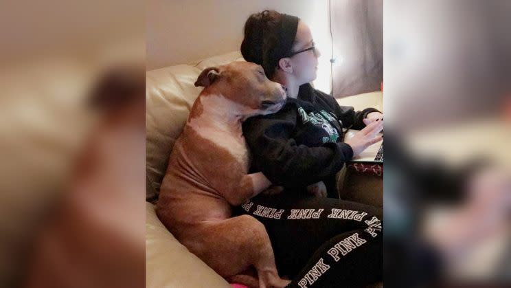 Esta fotografía de un pitbull rescatado ‘abrazando’ a su dueña ha conmovido las redes