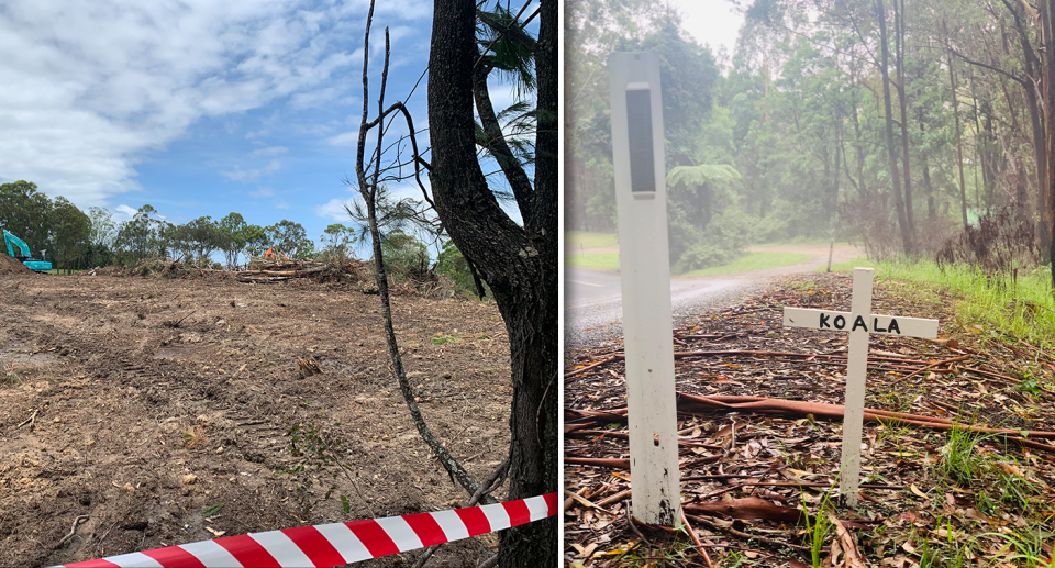 Left: cleared bushland. Right: a tiny koala cross by the side of the road.