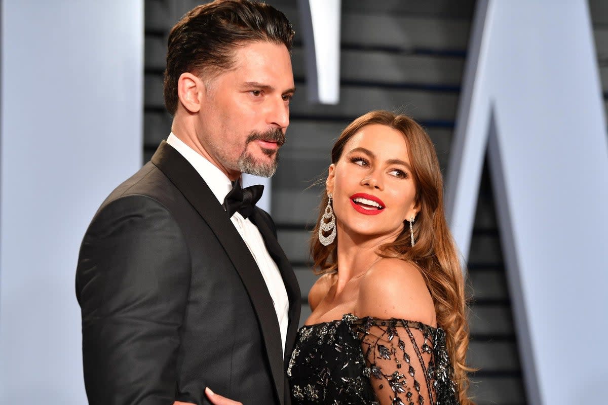 Sofia Vergara and Joe Manganiello to divorce after 7 years of marriage (Getty Images)
