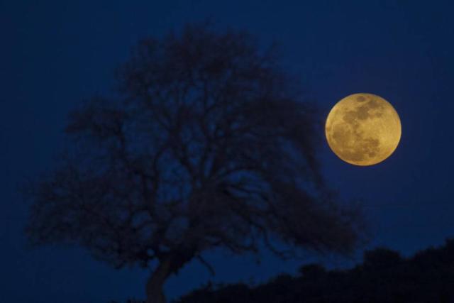 Super Blue Moon This Evening