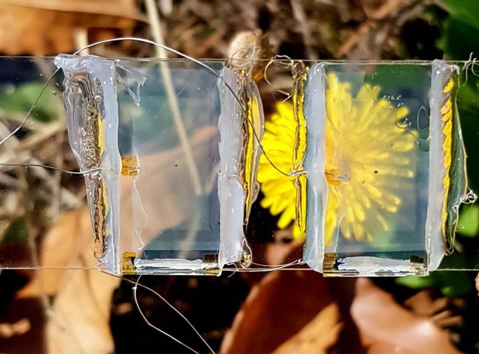 The solar cell created by the team is transparent, allowing its use in a wide range of applicationsJoondong Kim from Incheon National University