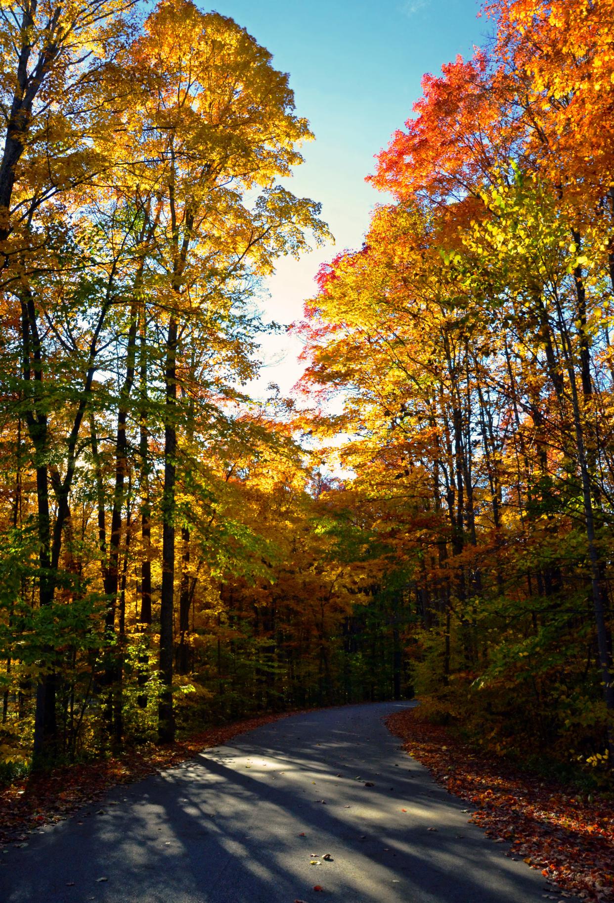 Want to see Northern Michigan's fall colors? You only have a few weeks