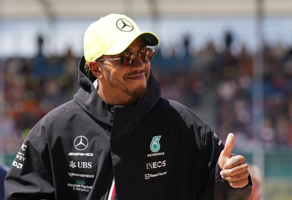 Lewis Hamilton gave his backing to the Silverstone protestors (Tim Goode/PA) (PA Wire)