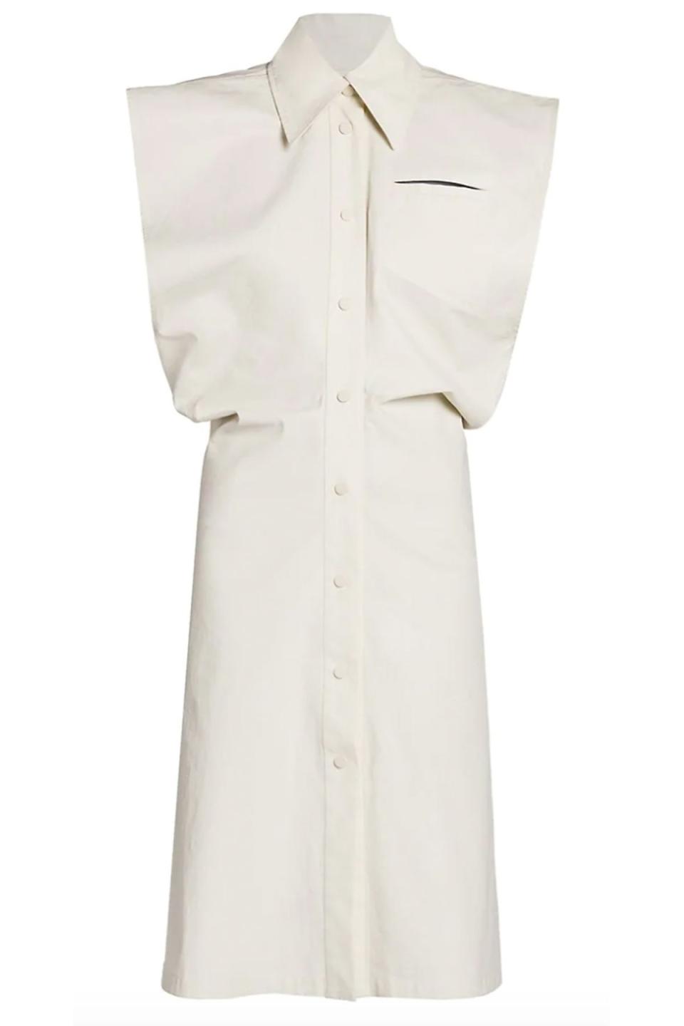 Sleeveless Button Down Toile Shirtdress