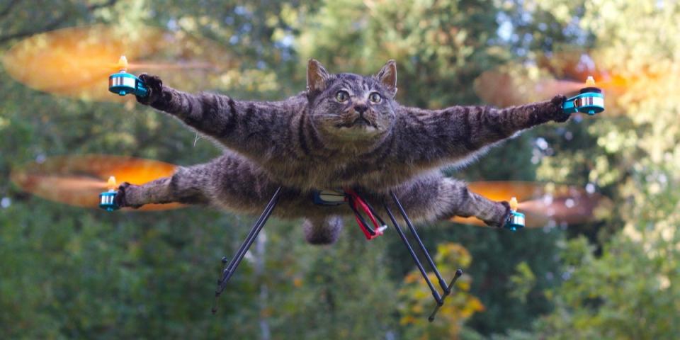 orvillecopter bart jansen cat drone