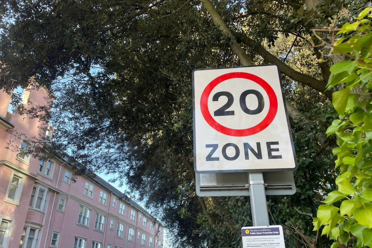 CONTROVERSIAL: 20mph zones have been subject to a lot of debate <i>(Image: Daily Echo)</i>