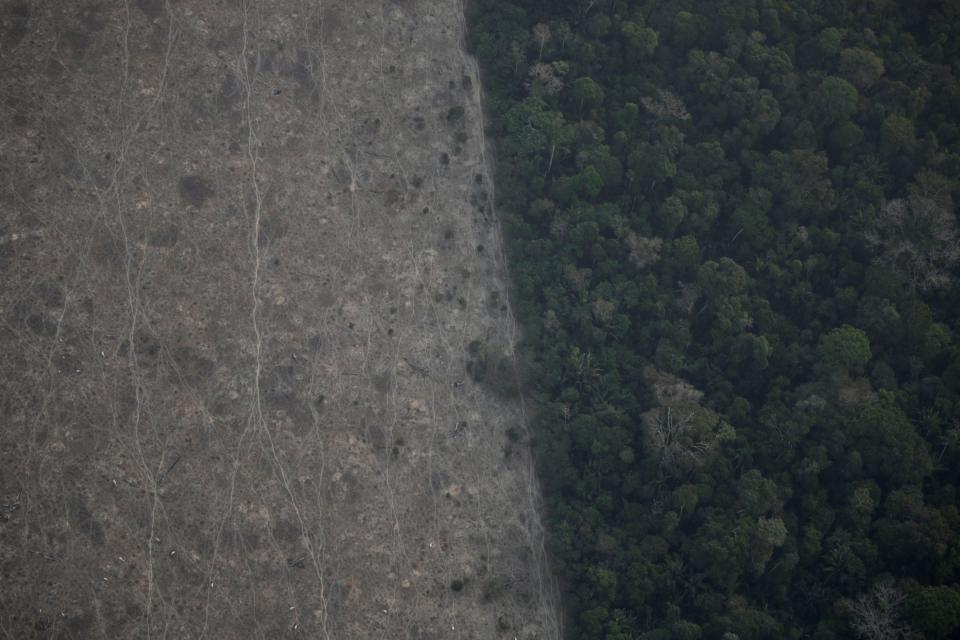 An aerial view shows a deforested plot of the Amazon near Porto Velho, Rondonia State, Brazil, Brazil August 21, 2019. REUTERS/Ueslei Marcelino