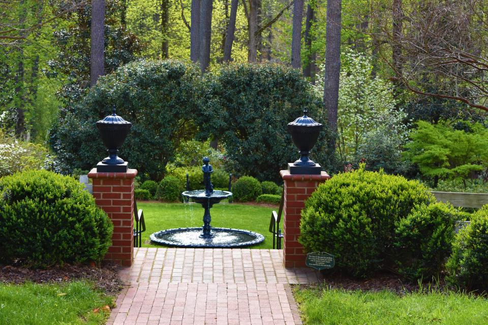 The entrance to Betty Montgomery's garden in Campobello, SC. Two large camellias, among the first plantings in the garden, greet visitors, directly behind the fountain. April 2022.