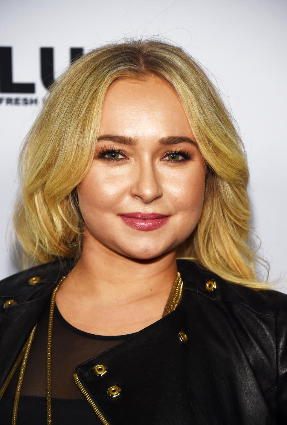 Closeup of Hayden Panettiere