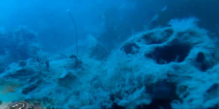 A still image captured from a video footage from the research vessel Martin Bergmann of the Arctic Research Foundation shows what they say is the wreckage of the of HMS Terror in the bottom of Terror Bay in Canada September 3, 2016. Courtesy Arctic Research Foundation/Handout via REUTERS