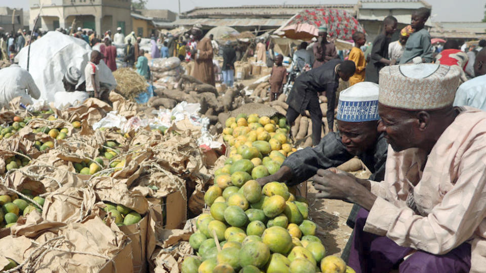 Traders sell mangoes at the market in Jibia, Nigeria - February 2024