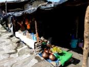 Shops selling materials for puja do brisk business. The flowers, coconuts and incense are brought on muleback from Chopta, where they have arrived after a long journey from the plains.