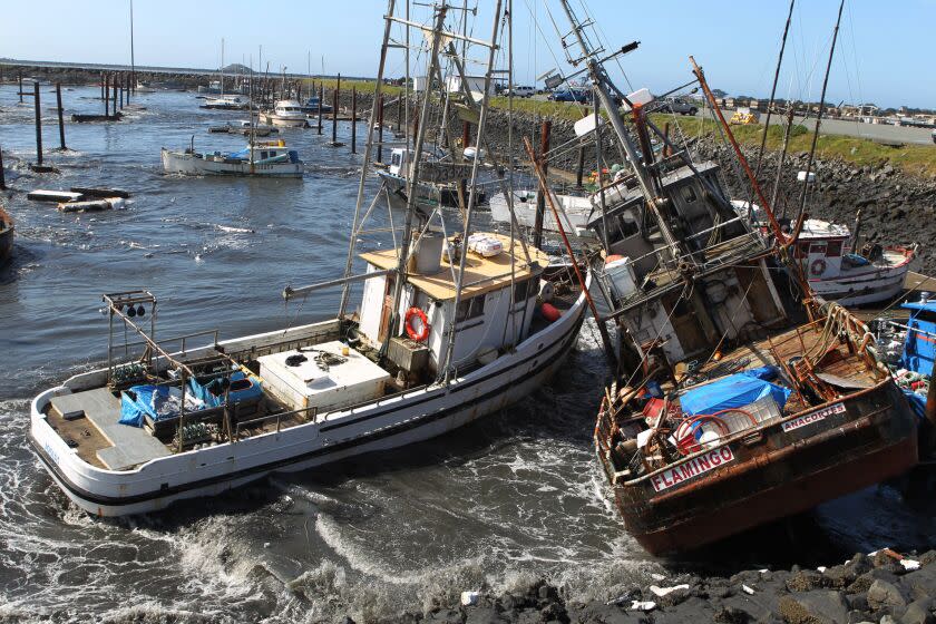 FILE - In this March 11, 2011 file photo, boats collide with one another after a Tsunami surge of water swept through a boat basin in Crescent City, Calif. A new report released Wednesday, Sept. 4, 2013 found that a hypothetical mega-earthquake off the Alaska coast would swamp Los Angeles' port complex and cause widespread statewide economic loss. The scenario was released by the U.S. Geological Survey and others to help emergency planners prepare for a rare but possible event. (AP Photo/Bryant Anderson) ** Usable by LA and DC Only **