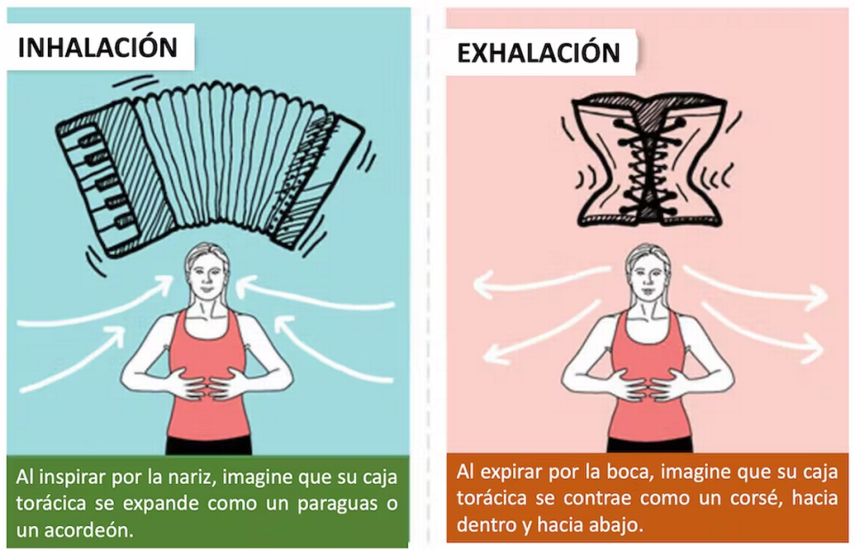 Representación infográfica de la respiración Pilates. Pilates Illustrated, by Portia Page, Human Kinetics, 2011, adaptación de Matilde Cañelles TheConversation.com