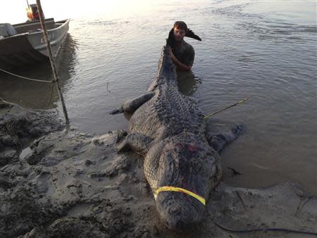 Dustin Bockman is pictured with his record setting alligator, weighing 727 pounds (330 kg) and measuring 13 feet (3.96 m), captured in Vicksburg, Mississippi on September 1, 2013, in this picture released to Reuters on September 3, 2013. REUTERS/Ryan Bockman/Handout via Reuters