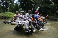 Varios migrantes cruzan el río Acandí en un carro tirado por caballos el martes 14 de septiembre de 2021, en Acandí, Colombia. (AP Foto/Fernando Vergara)