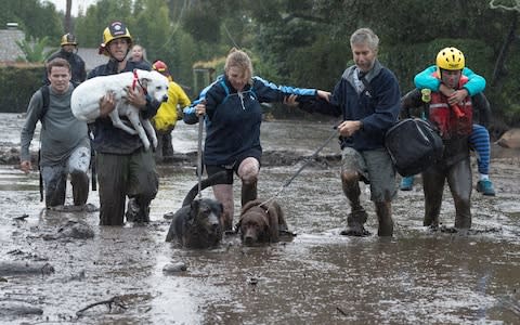 Emergency personnel evacuate local residents and their dogs  - Credit: Reuters