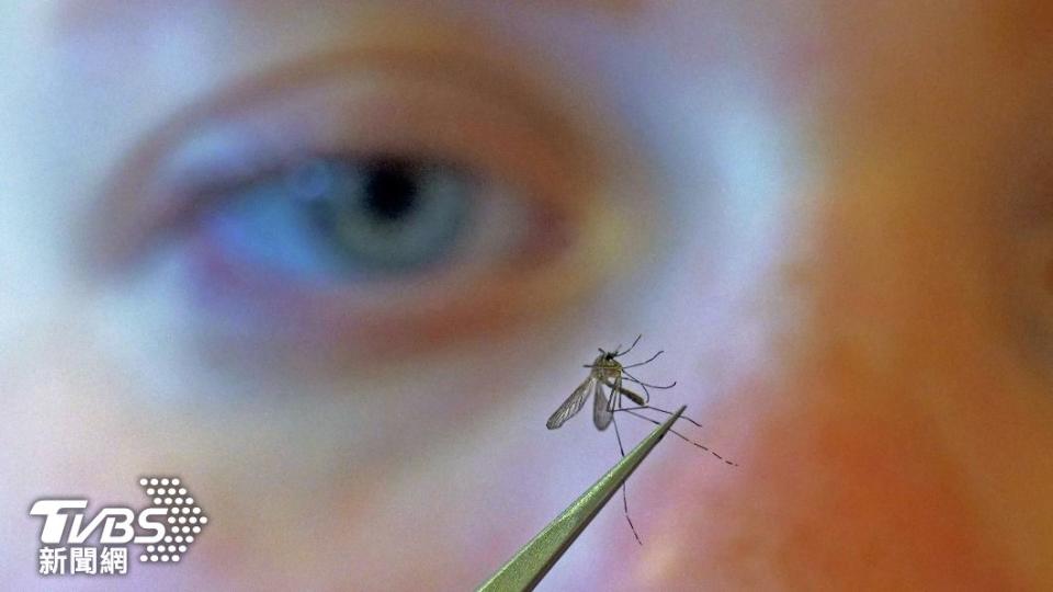 科學家發現，因為人類皮膚上獨特氣味，讓特定人士成為「蚊子磁鐵」。（圖/達志影像美聯社）