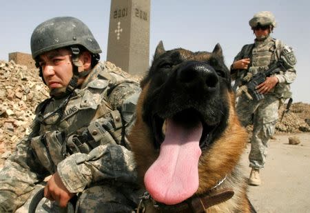 FILE PHOTO: U.S. soldiers with the 3rd Heavy Brigade Combat Team 3-1 CAV take a break with their explosives sniffer dog during a major search operation for weapons and insurgents, in a brickyard near the city of Narhwan, about 30km (18 miles) west of Baghdad October 12, 2007. REUTERS/Fabrizio Bensch/File Photo