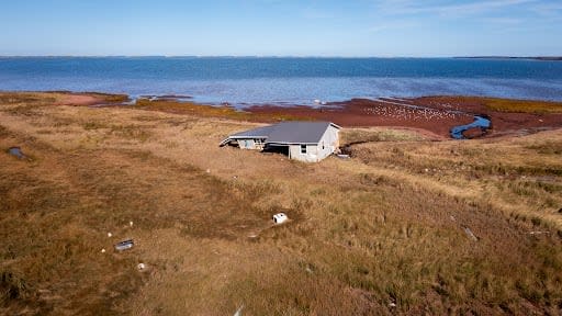 The Callaghans' cottage was swept several kilometres away and now rests here, on a saltwater marsh. 