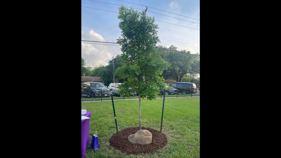 A tree and stone that reads “In Loving Memory of Missy Bevers” was planted at Kimmel Park in Midlothian in 2023, seven years after she was killed at a church.