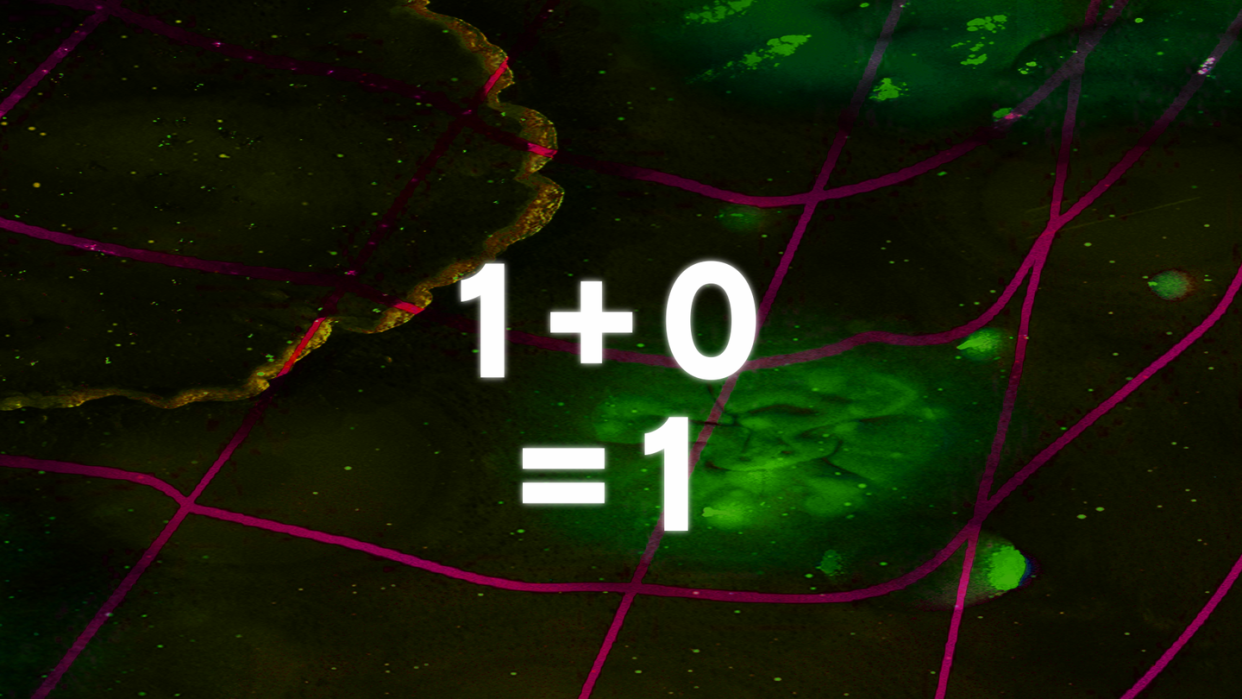 the equation one plus zero equals zero over a green background