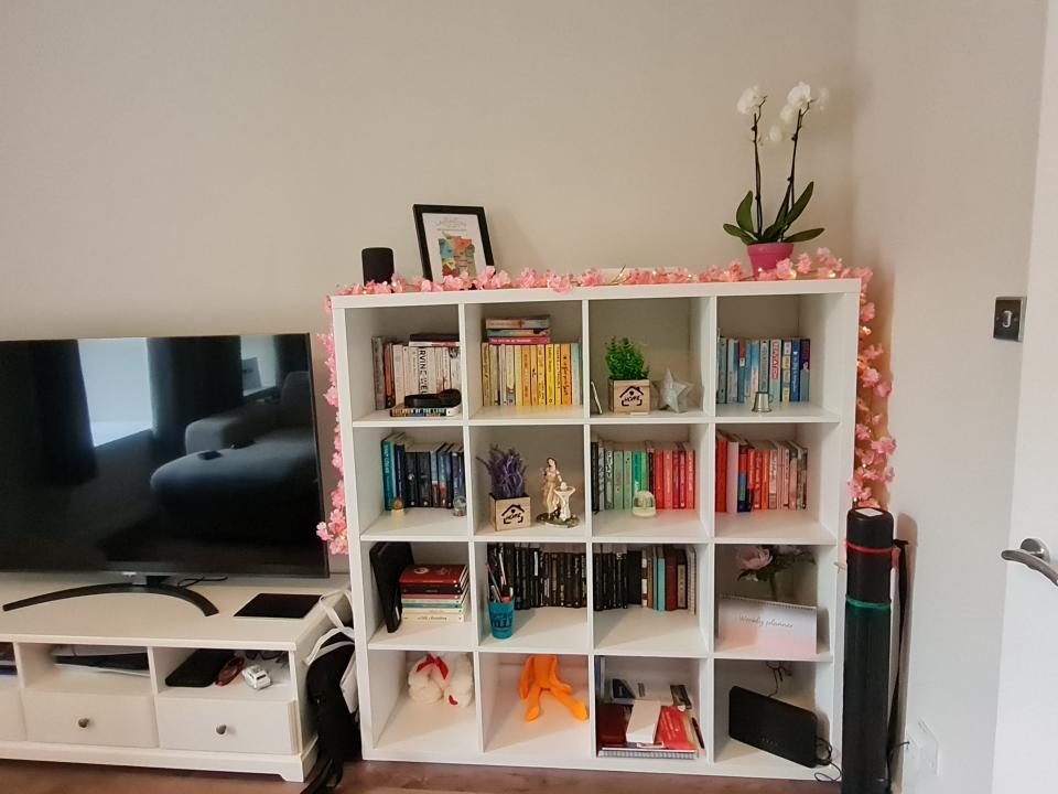 mikhaila bookshelf