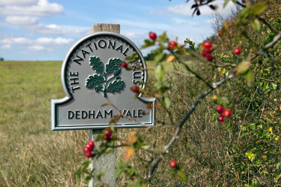 Dedham Vale is an Area of Outstanding Natural Beauty (Alamy Stock Photo)