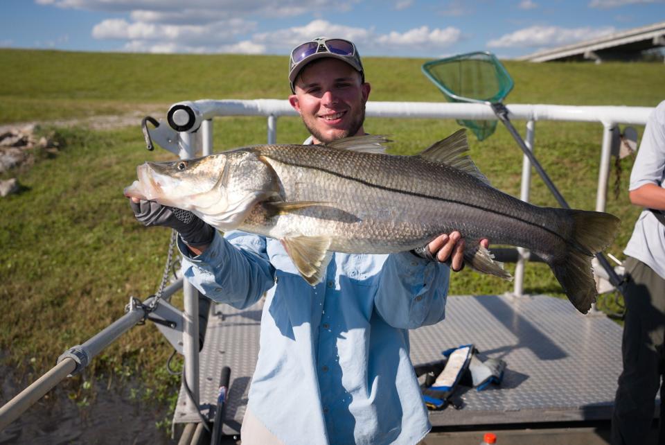 snook fishing