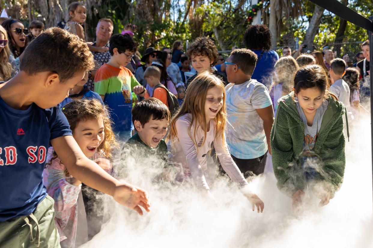 Take the kids out for a fun day of science and exploration at the Cox Science Center and Aquarium in West Palm Beach.