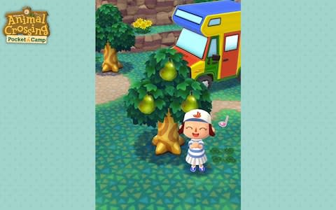 Animal Crossing: Pocket Camp