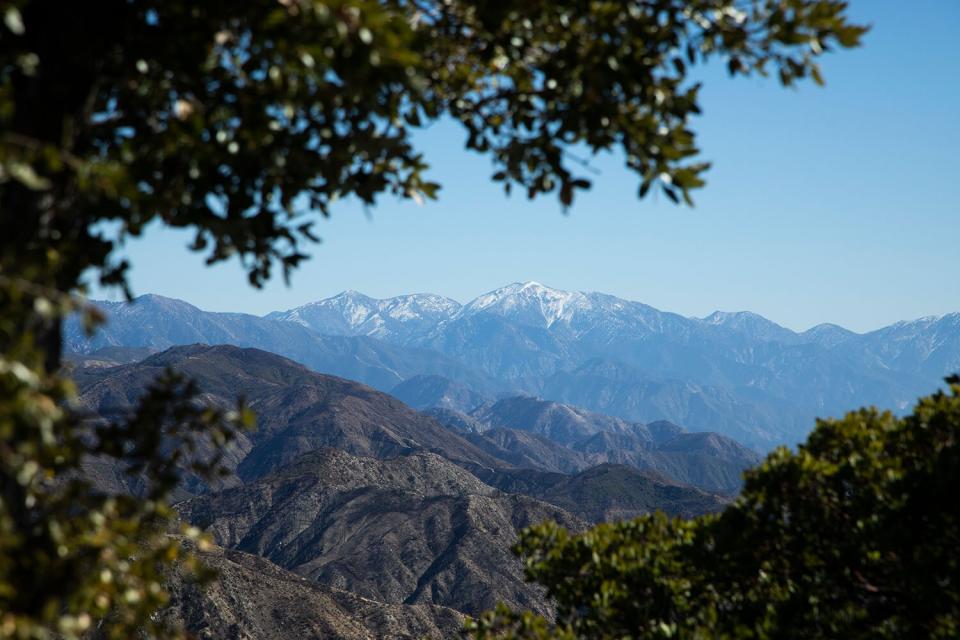 ALTADENA, CA - FEBRUARY 18: Snow-covered Mt. Baldy is visible from Mt. Disappointment Road in the San Gabriel Mountains. Multiple peaks can be hiked from Eaton Saddle, but currently the entrance to Mt. Wilson Red Box Road is closed to vehicle traffic requiring a 2.3 mile hike to the saddle trailhead. Alternatively, Mt. Disappointment Road and Bill Reily Trail can be used to hike in. Photographed on Thursday, Feb. 18, 2021 in Altadena, CA. (Myung J. Chun / Los Angeles Times via Getty Images)