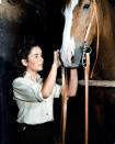 <p>Elizabeth, a huge animal lover, formed a special connection with King Charles, the horse cast as The Pie in <em>National Velvet </em>— so much so that after filming, the <a href="https://www.imdb.com/title/tt0037120/trivia" rel="nofollow noopener" target="_blank" data-ylk="slk:studio gifted;elm:context_link;itc:0;sec:content-canvas" class="link ">studio gifted</a> Elizabeth the horse and she remained his owner until his death. </p>