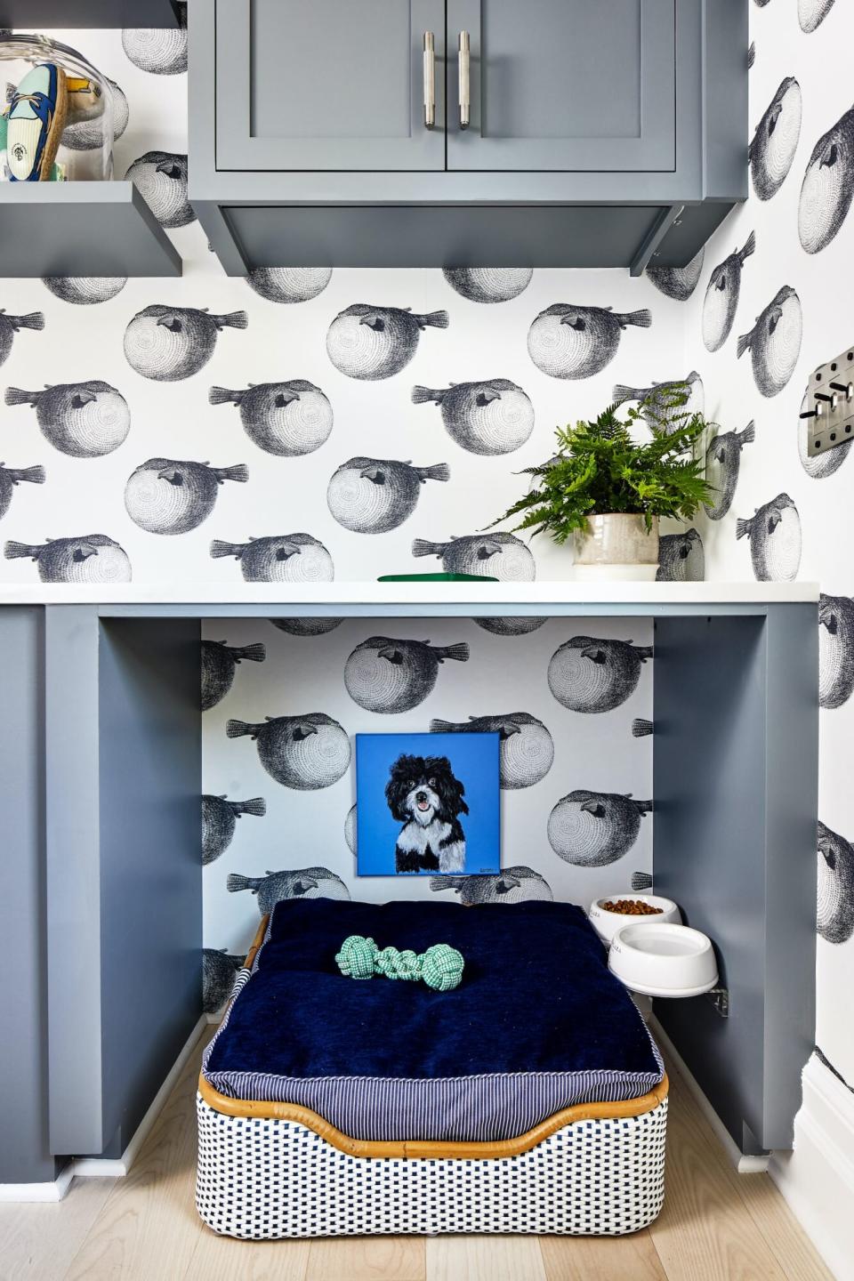 Space of the Week, Mudroom with Blue Dog Bed