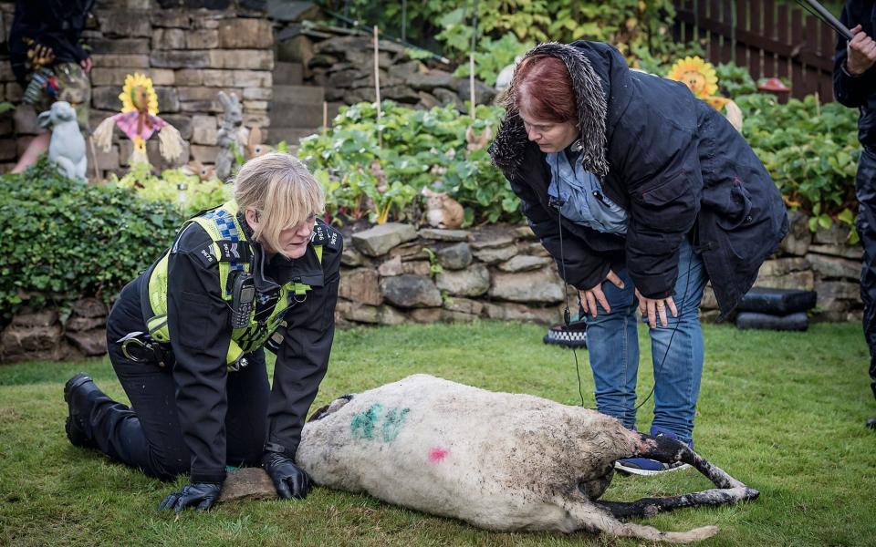 Wainwright directing Lancashire and a dead sheep in episode one of the new series of Happy Valley - Ben Blackall 