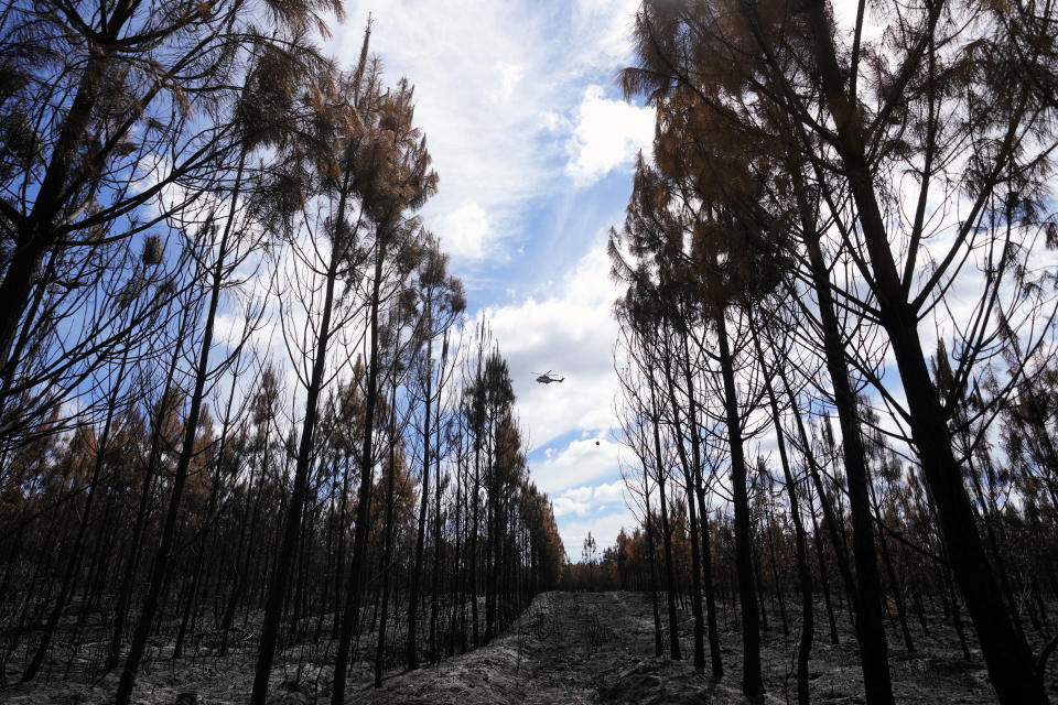 A helicopter carries a water bag to put out the remains of fires in a burned forest, in Hostens, south of Bordeaux, southwestern France, Tuesday, Aug. 23, 2022. The season of heat waves and wildfires produced excellent grapes, despite lower yields. (AP Photo/Francois Mori)