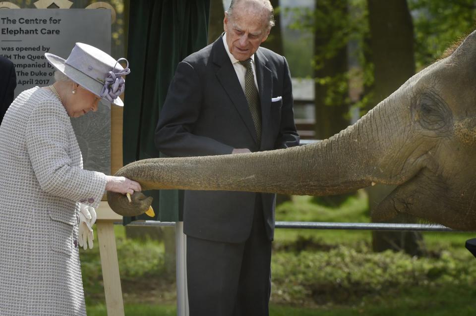 Photo credit: Barcroft Media - Getty Images