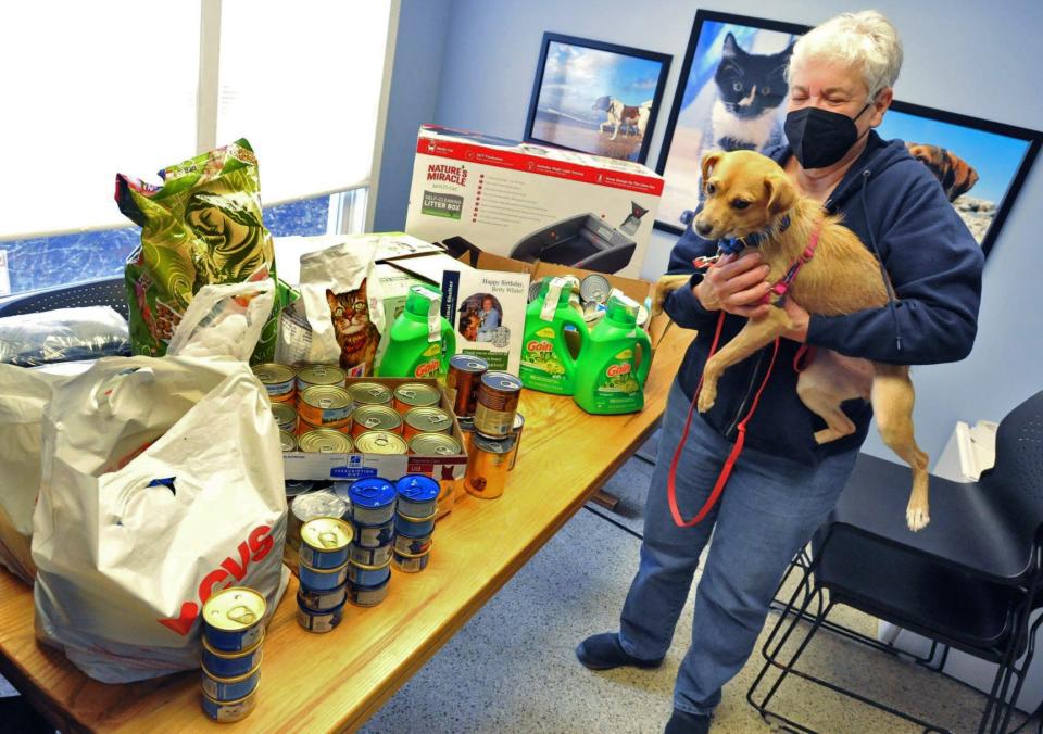 Scituate Animal Shelter volunteer Nancy Robertson and Daisy look over the donations of pet food, detergent and supplies made to the shelter during the Betty White Challenge, in which donations were made to local animal shelters in honor of the late actress Monday, Jan. 17, 2022.