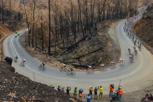 The peloton ride downhill along fire-ravaged Fox Creek Road