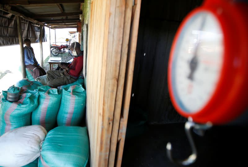 Farmers prepare to weigh their maize harvest at the collection centre facilitated by Safaricom DigiFarm App, that helps agribusinesses and small holding farmers to share information and transact easily, in Sigor village of Bomet County