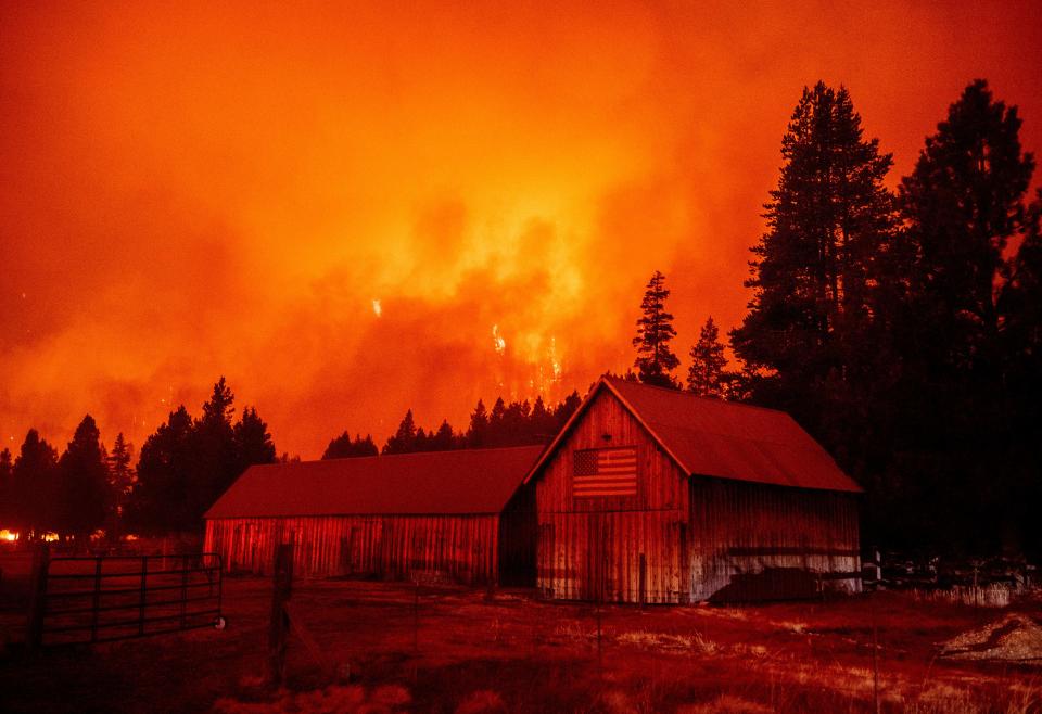 Flames rip across a hillside 