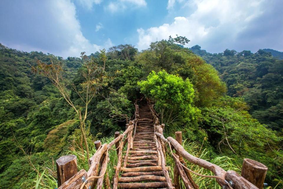 大坑登山步道（圖片來源：台中觀光旅遊網）