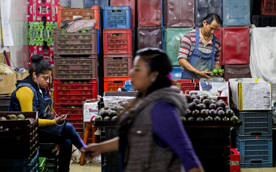 Lo que ha impulsado la expansión ha sido el implacable apetito de los estadounidenses por los aguacates. Entre el 2001 y el 2010 se triplicó la producción de este producto en Michoacán, pero las exportaciones se multiplicaron por 10, según un estudio publicado en el 2012 por el instituto de Tapia Vargas.